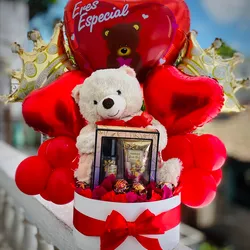 Oso blanco 🐻‍❄️