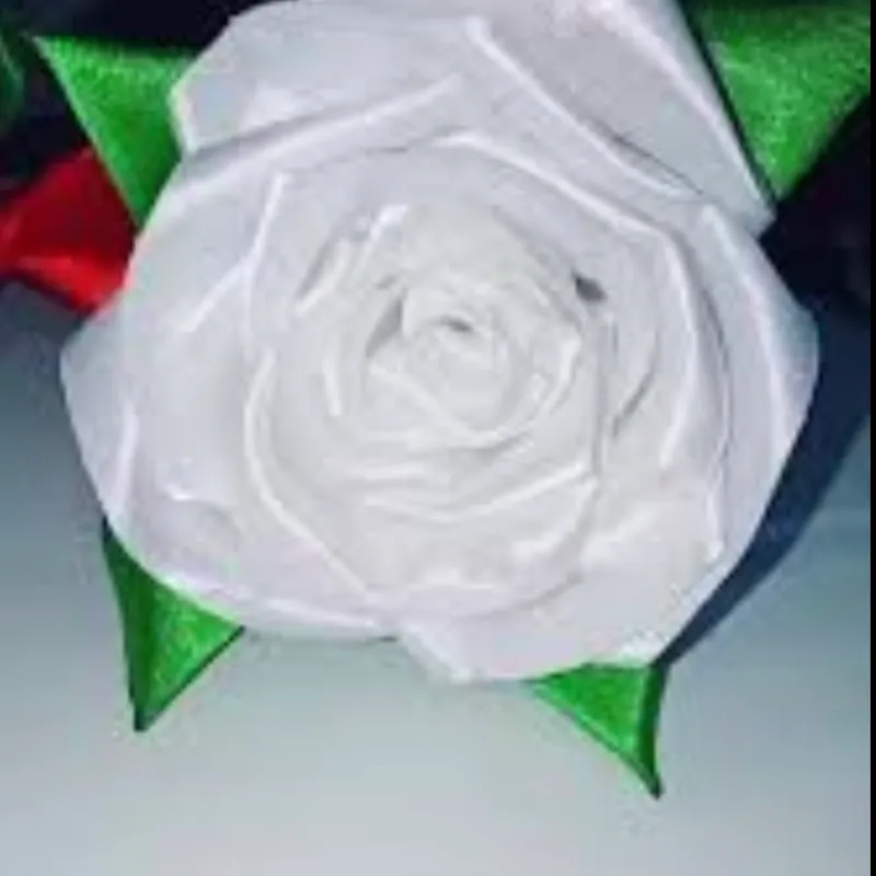 Rosas blancas