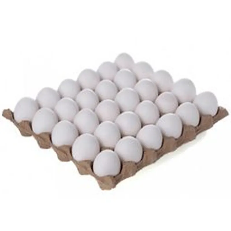 Carton de huevos