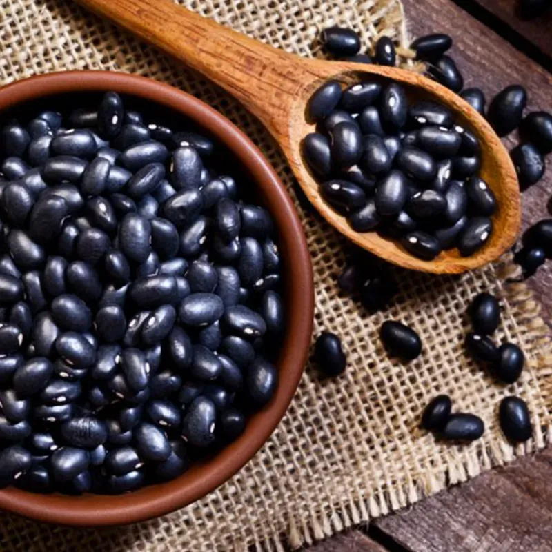 Frijol negro