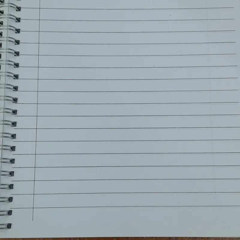 Libretas tamaño estándar. 