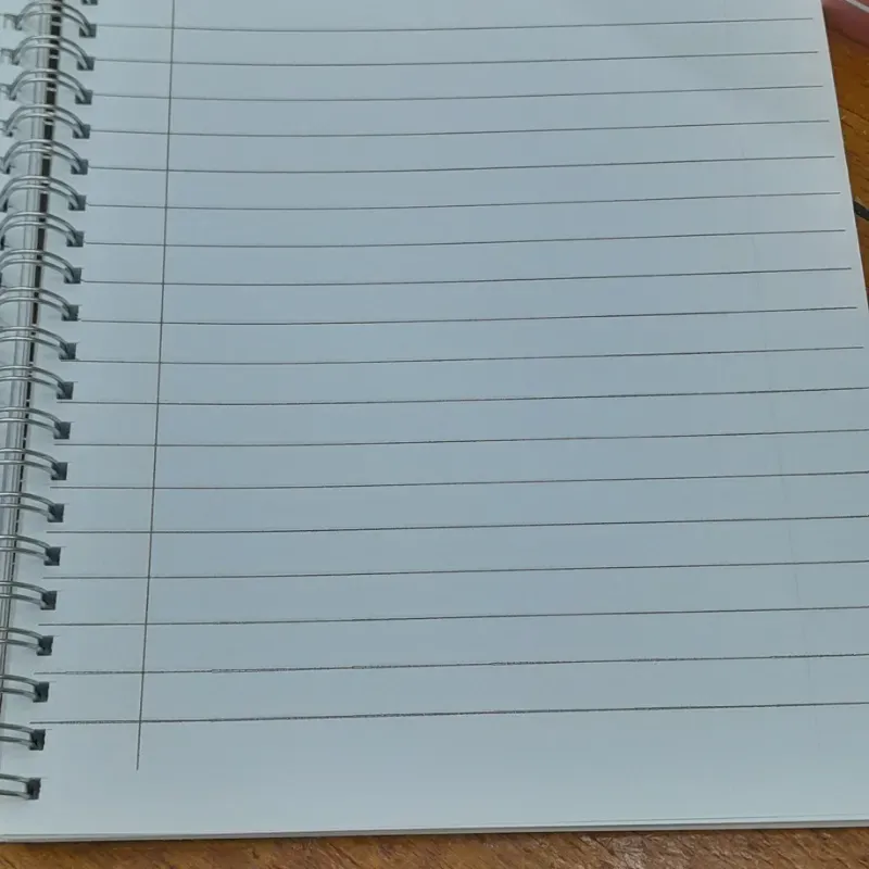 Libretas tamaño estándar. 