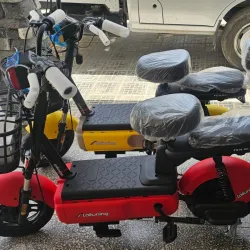 Bicicleta  Eléctrica
