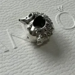 charm erizo