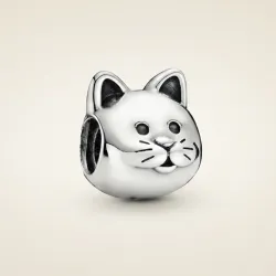 Charm gato