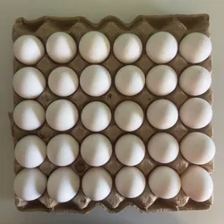 Huevos frescos
