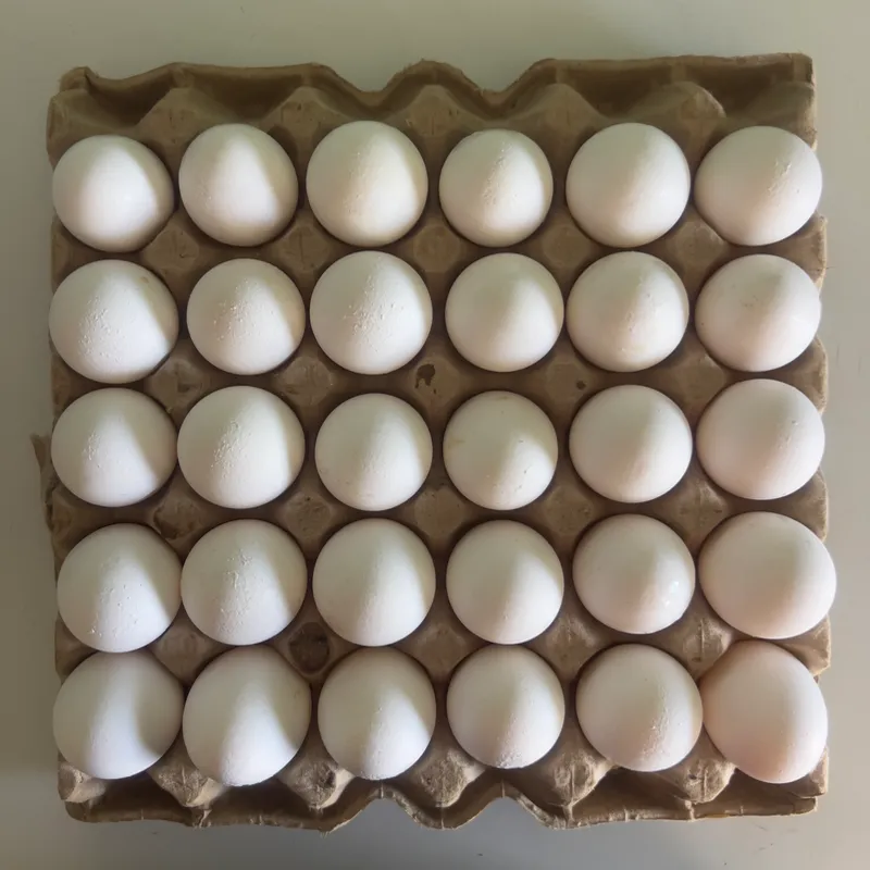 Huevos frescos