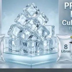 BOLSAS DE HIELO 🧊