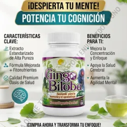 GINGO BILOBA 100t
