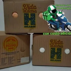 🍨 Helado – 4 litros 