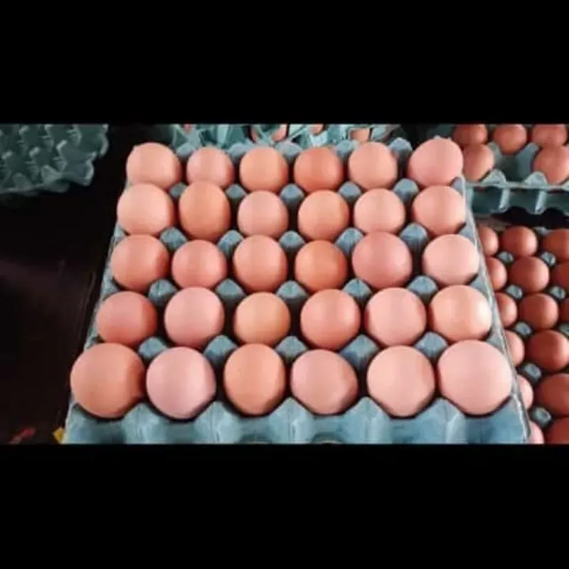 🥚 Huevos importados 