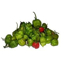 Ají cachucha  1lb
