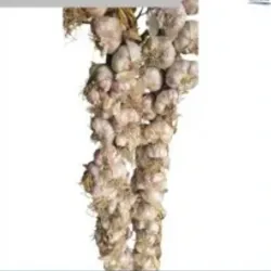 Pata de ajo