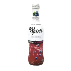Combinado Vodka Blueberry