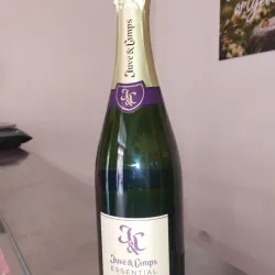 Juvé & Camps Essential púrpura 