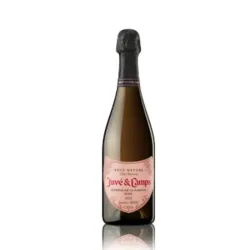 Juvé & Camps Reserva de la Familia Brut Nature
