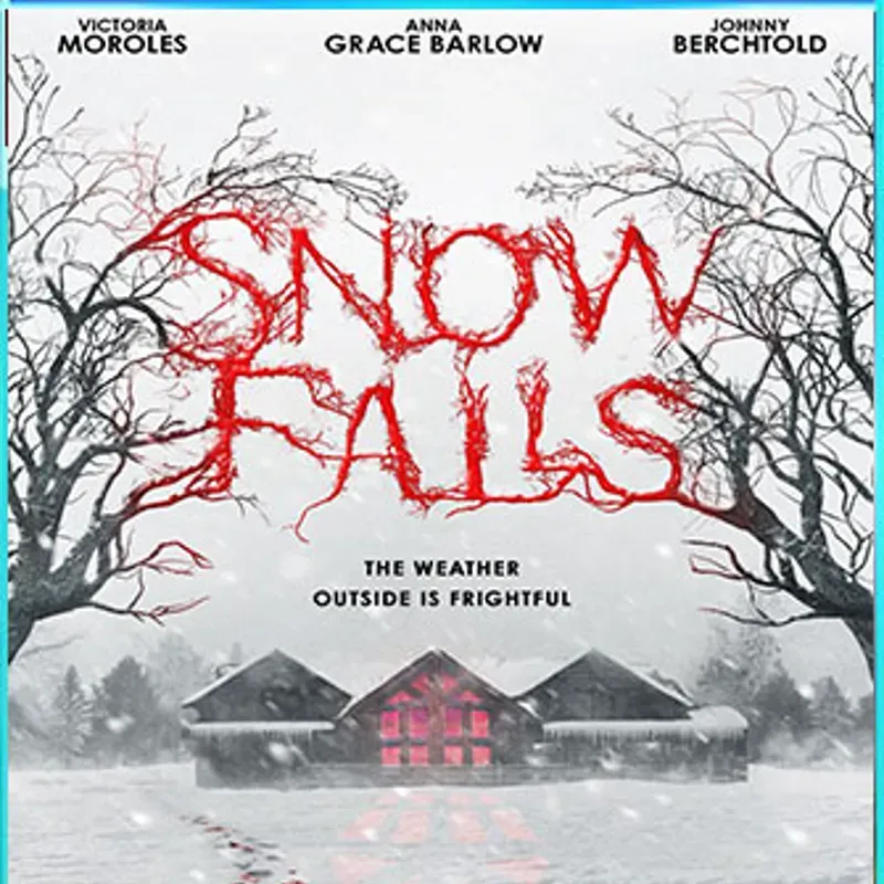 Snow Falls
