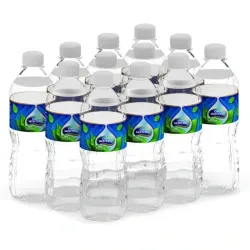 Agua Mineral Ciego Montero 500ml 12 unidades