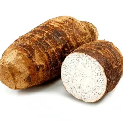 Malanga 5 lb