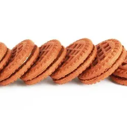Galletas(pqt 100-180gr)
