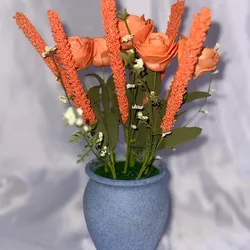 Bucarito naranja 