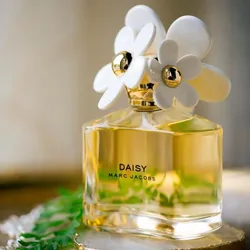 Deisy Marc Jacob