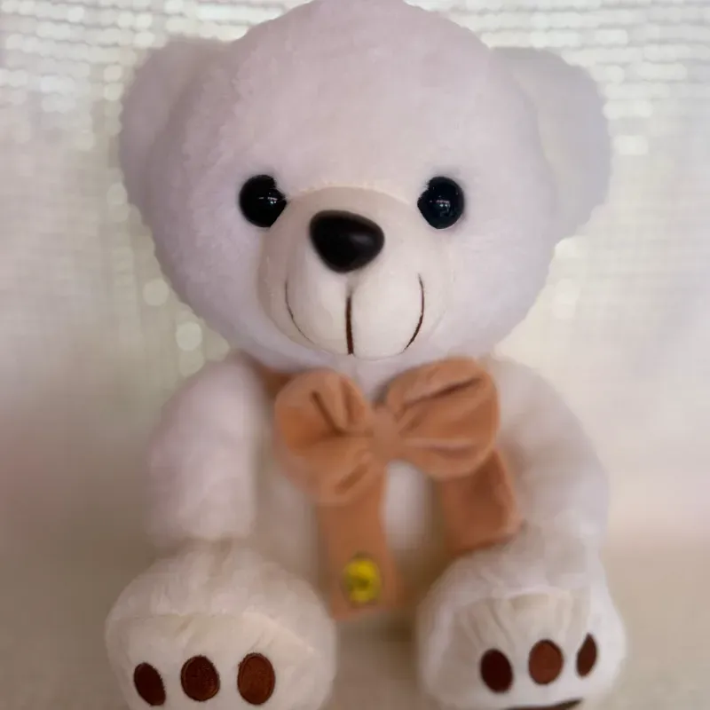 Osito de peluche blanco 