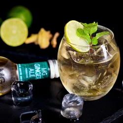Gin & Ginger Ale 