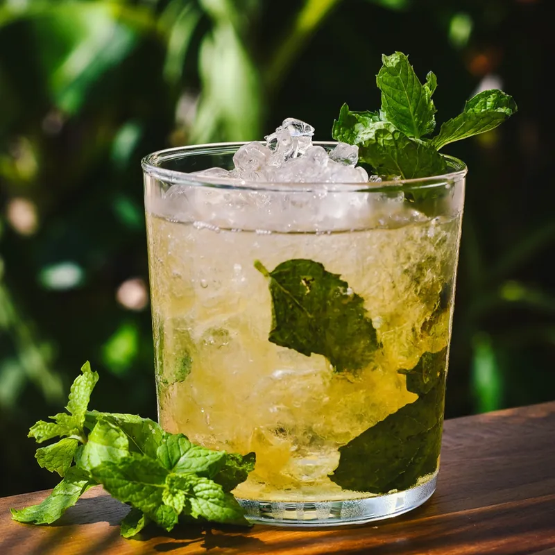 Mint Julep 