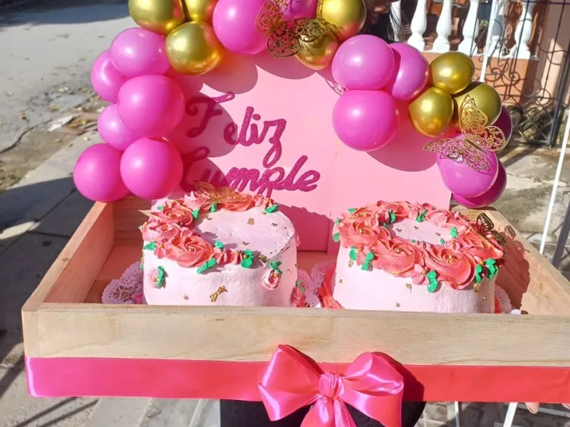 CAJAS CON PANETELAS