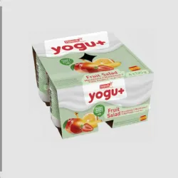 Yogur sabor Macedonia 4 und
