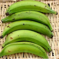 Platano Macho