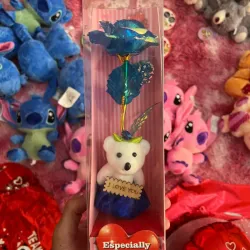 Estuche de Peluche y Rosa Azul