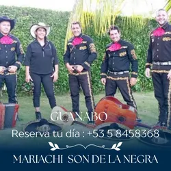 🎺 Mariachis a Domicilio .
