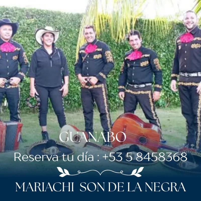 🎺 Mariachis a Domicilio .