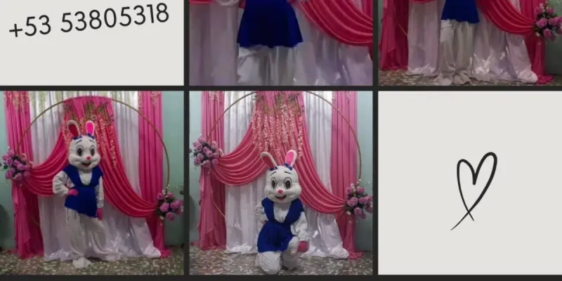 Servicio de Conejita 