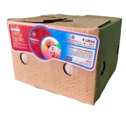 Caja de helado