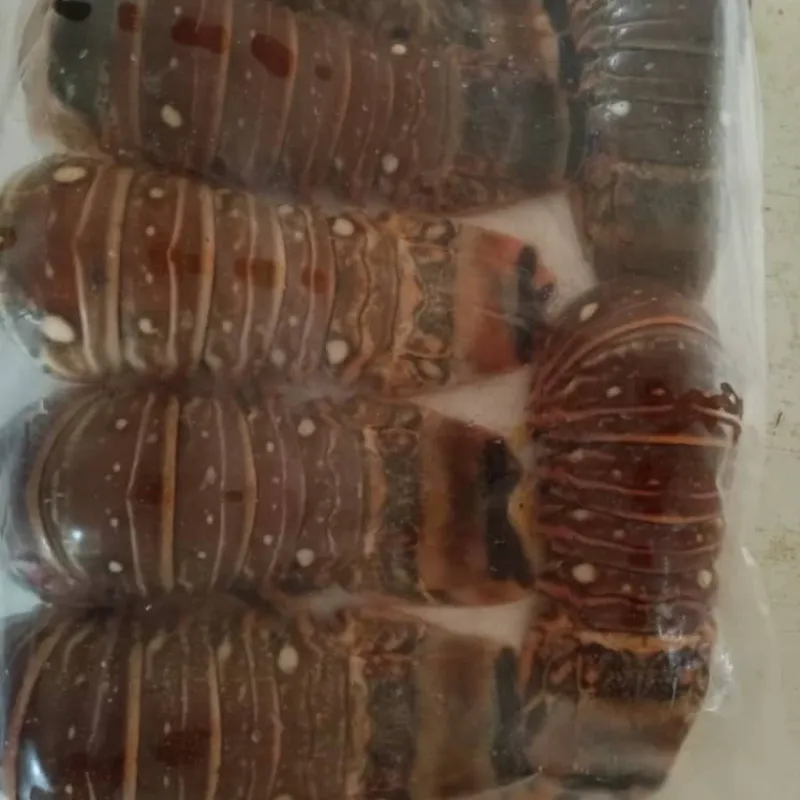 Langosta