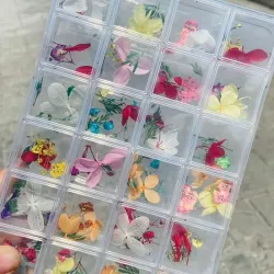Caja de Naturaleza 