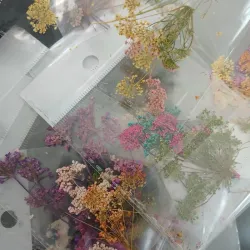 Naturaleza Muerta 