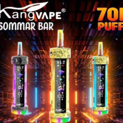 ♻️Kang Vape SommarBar