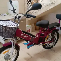 Bicicleta electrica Autonomía 40-50 km