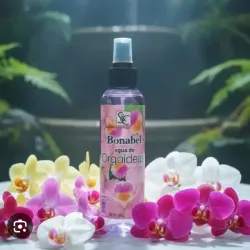 Bonabel de orquídea