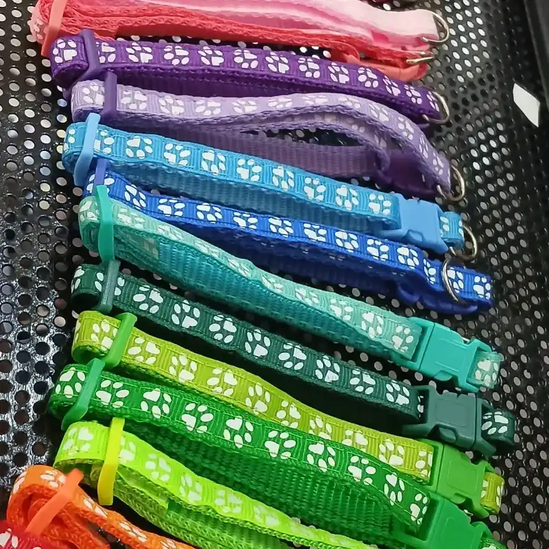 Chapillas personalizadas para mascotas 🐶🐱