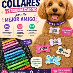 Chapillas personalizadas para mascotas 🐶🐱