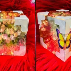 Cubos de tulipanes infinitos pequeños