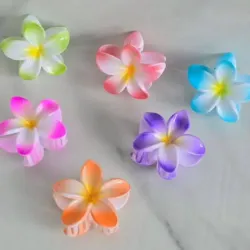 Pellizco flores 🌸