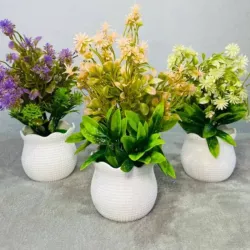 Plantica para decorar
