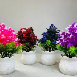 Plantica para decorar