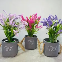 Plantica para decorar (Lavanda)